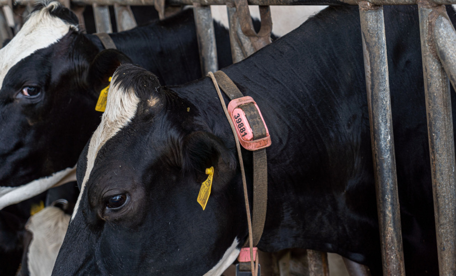 Governo propõe a criação de cooperativas-escolas nos colégios agrícolas