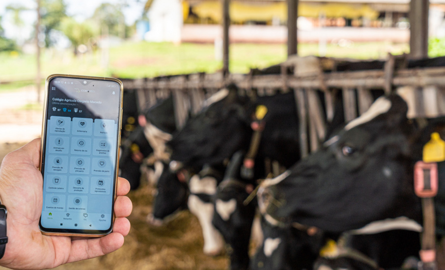 Governo propõe a criação de cooperativas-escolas nos colégios agrícolas