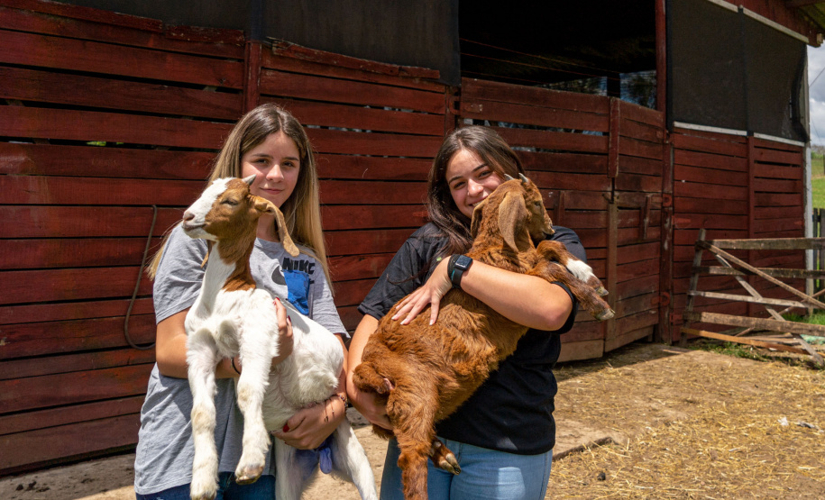 Governo propõe a criação de cooperativas-escolas nos colégios agrícolas