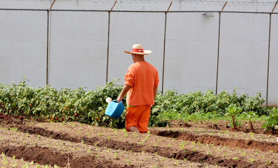 Modelo de tratamento penal do Paraná é referência nacional em ressocialização