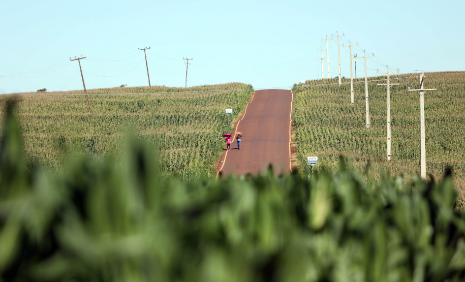 Jesuitas estrada de caraja