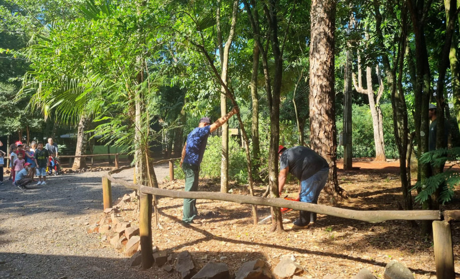 Com apoio de funcionários, IAT erradica 37 plantas exóticas em viveiros do Paraná