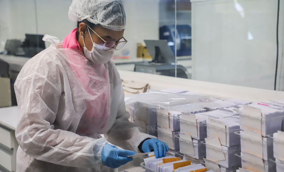 Com estrutura especializada, Polícia Civil do Paraná é referência na investigação de crianças desaparecidas