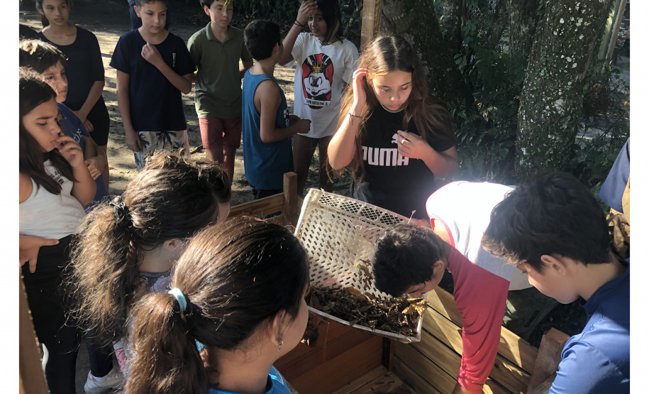 Portos do Paraná instala duas novas composteiras em escolas da Ilha do Mel