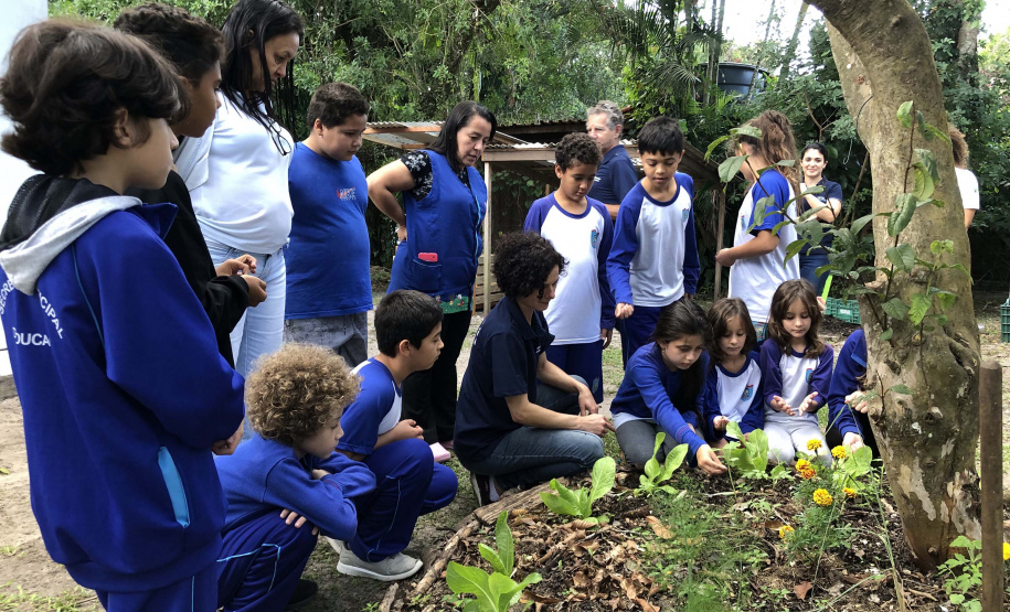 Portos do Paraná instala duas novas composteiras em escolas da Ilha do Mel