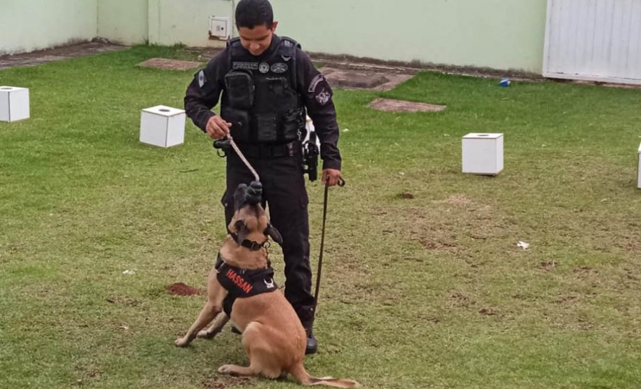 Em parceria com a Secretaria Municipal de Educação, Polícia Penal auxilia em projeto educativo sobre fauna em CMEIs de Maringá