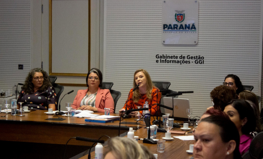 SEMI: Conselho Estadual dos Direitos da Mulher instituiu comissão eleitoral e definiu pautas para a garantia de direitos