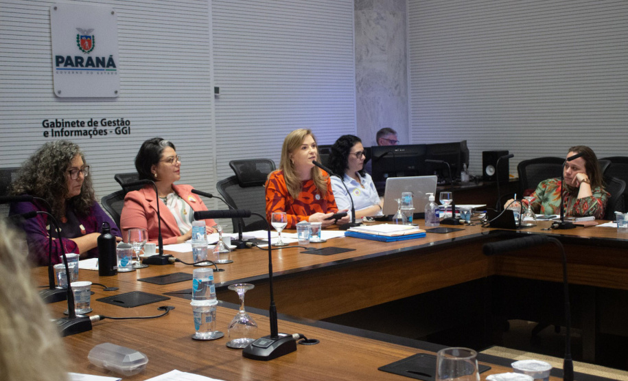 SEMI: Conselho Estadual dos Direitos da Mulher instituiu comissão eleitoral e definiu pautas para a garantia de direitos