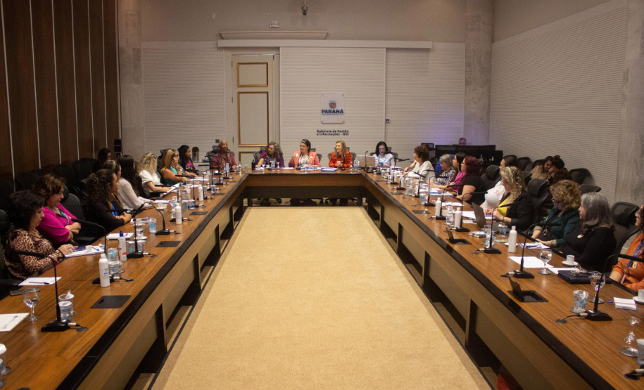 SEMI: Conselho Estadual dos Direitos da Mulher instituiu comissão eleitoral e definiu pautas para a garantia de direitos