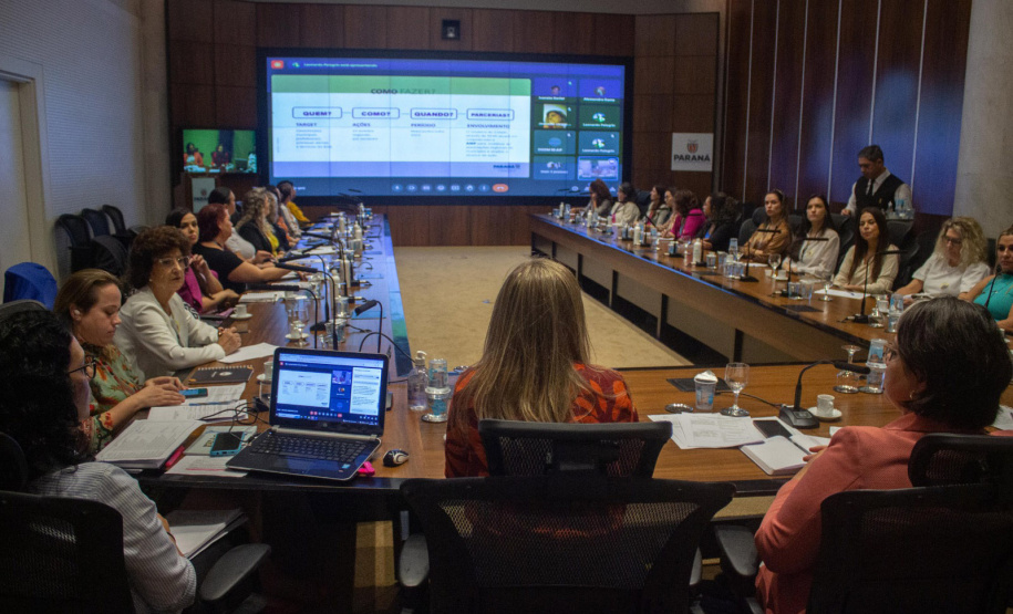 SEMI: Conselho Estadual dos Direitos da Mulher instituiu comissão eleitoral e definiu pautas para a garantia de direitos