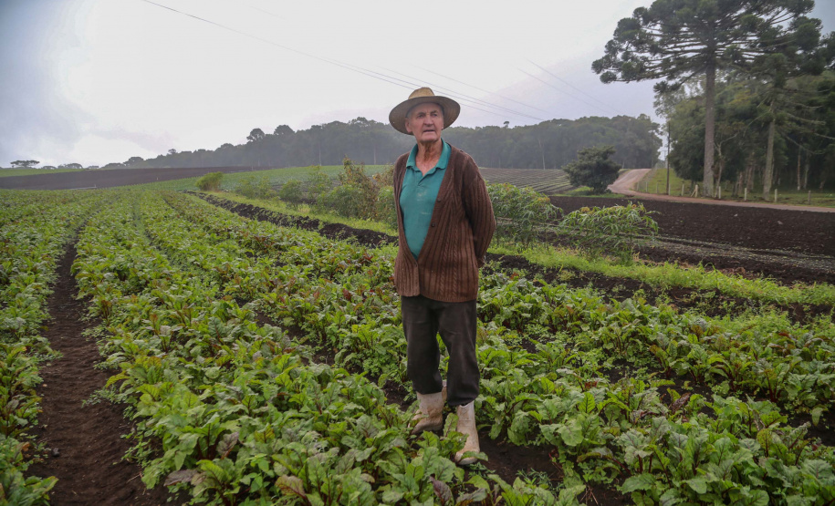 São José dos Pinhais,
