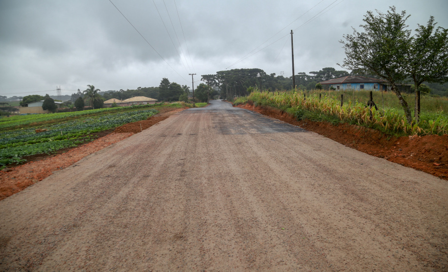 São José dos Pinhais,