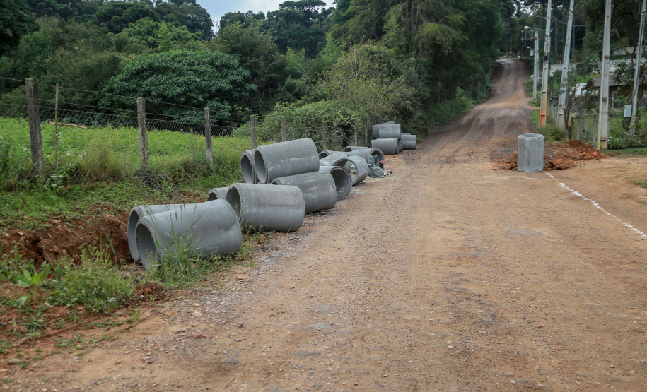 São José dos Pinhais,