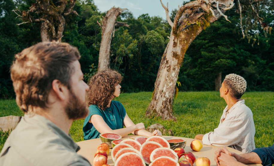 MUPA divulga o resultado final do III Edital de Ocupação do Espaço  Vitrine; confira as propostas selecionadas