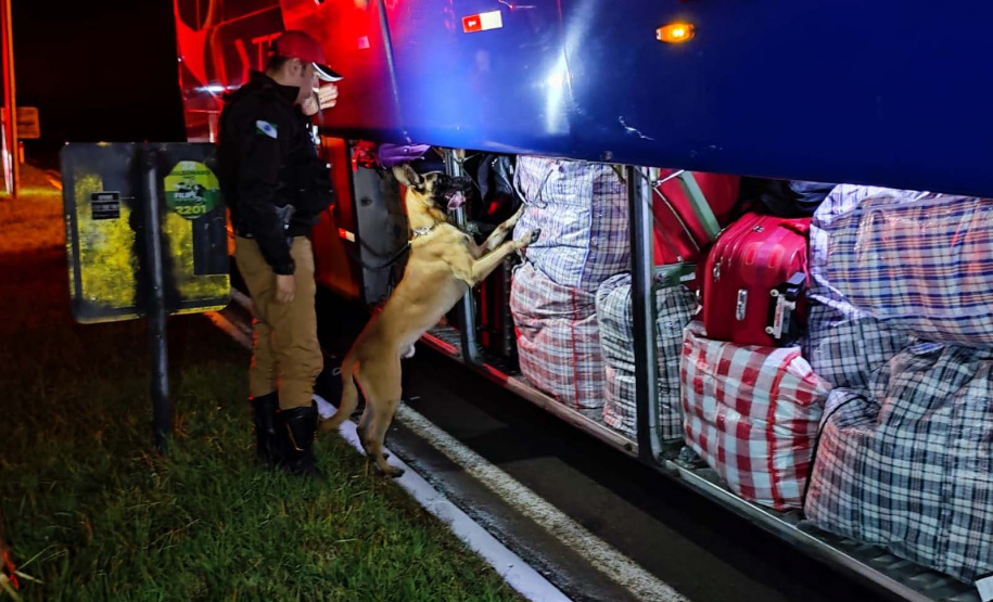 Operação de Fronteiras e Divisas Integradas resulta em 3,4 toneladas de drogas apreendidas