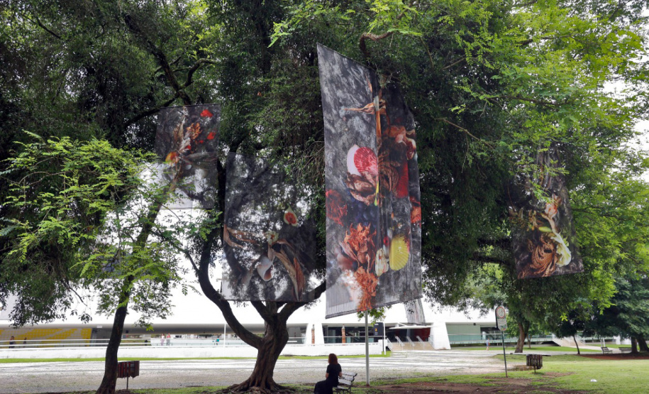 MON realiza encontro para educadores com a artista Mariana Palma