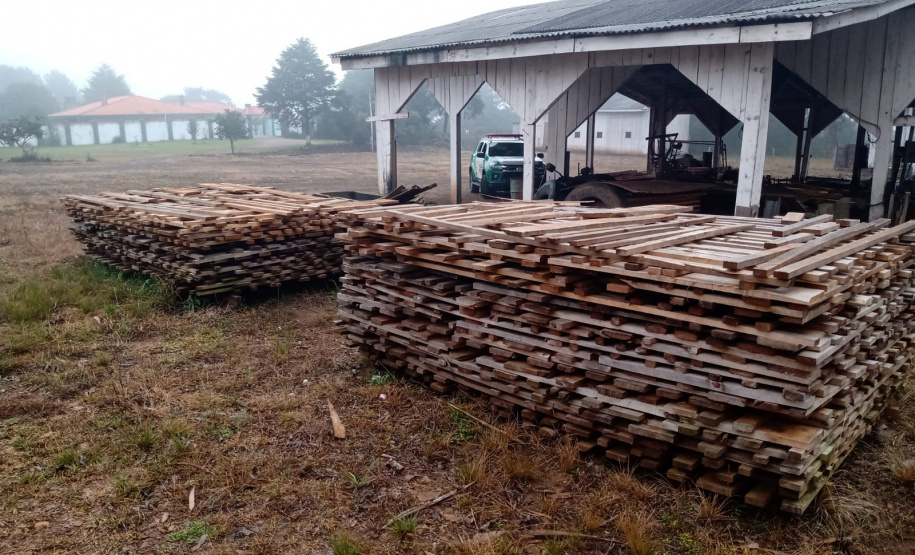 Operação conjunta combate comércio de madeira ilegal em General Carneiro