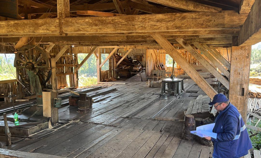 Operação conjunta combate comércio de madeira ilegal em General Carneiro