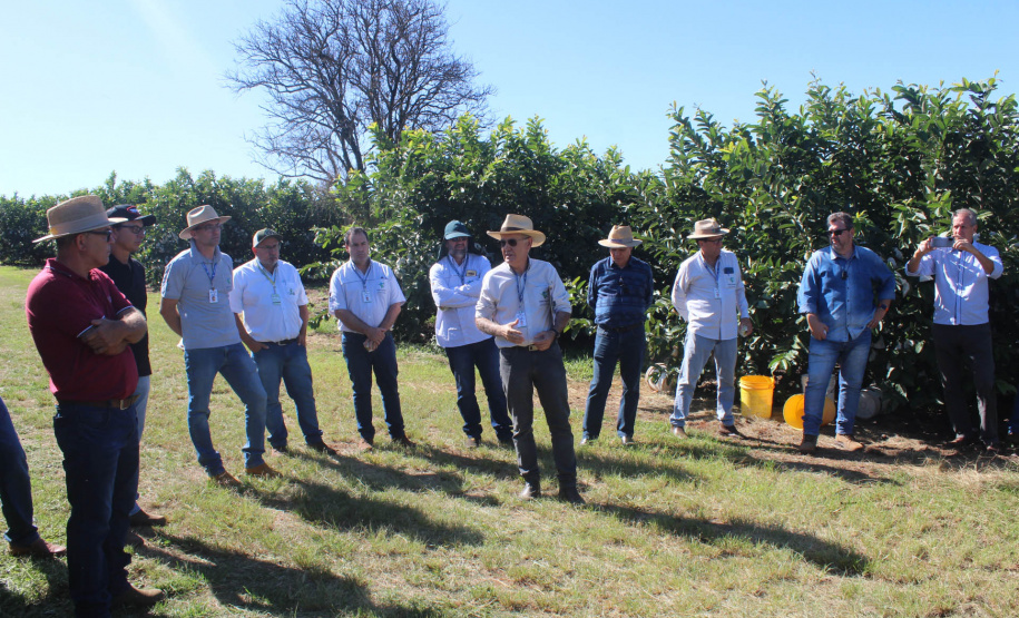 Visita técnica do Sistema Estadual de Agricultura a propriedades de café em Carlópolis