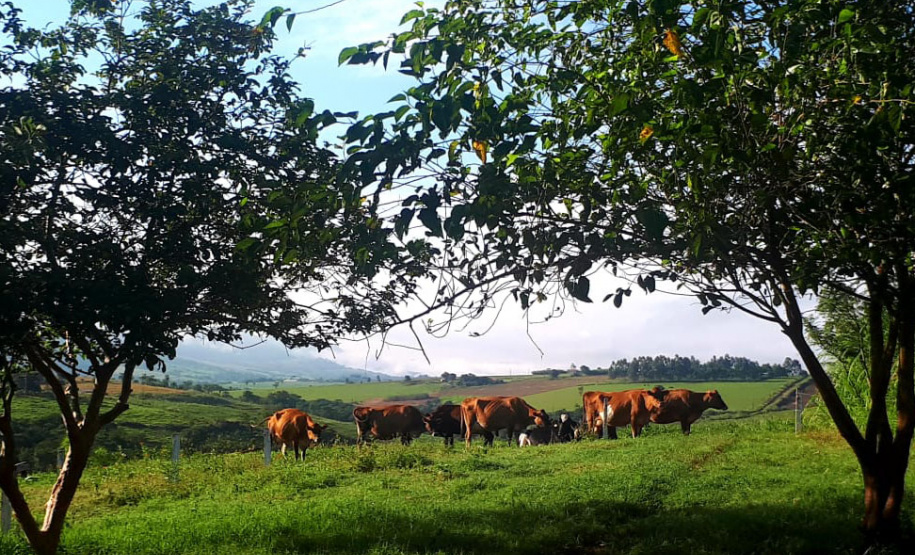 Rancho Zulian