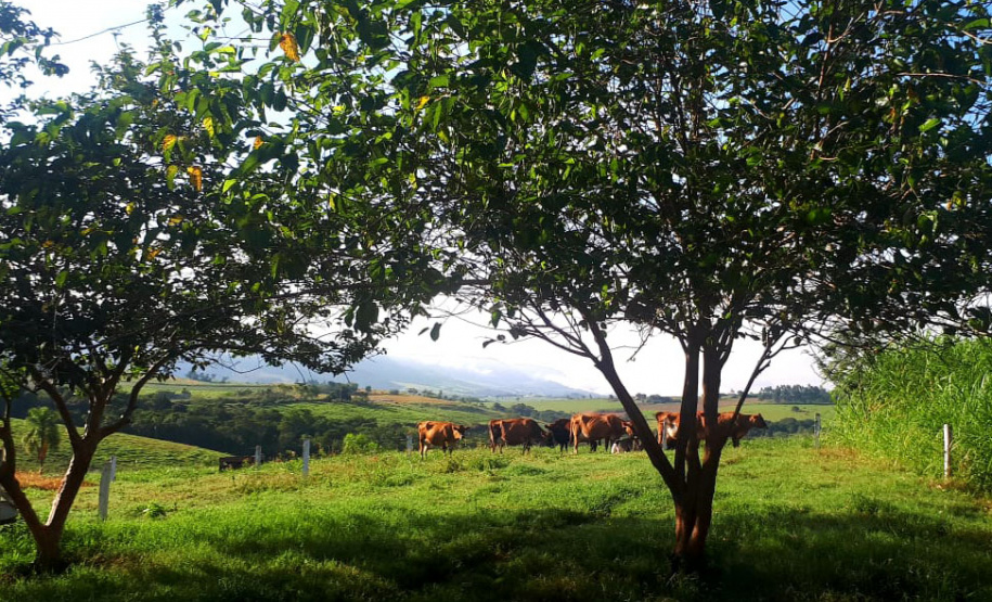 Rancho Zulian