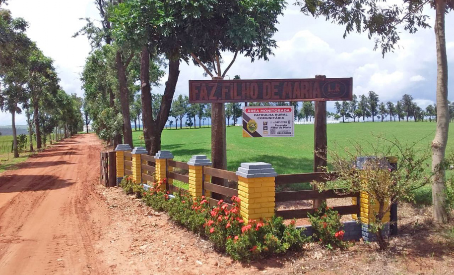 Polícia Militar já apreendeu 100 armas de fogo durante Operação Segurança Rural