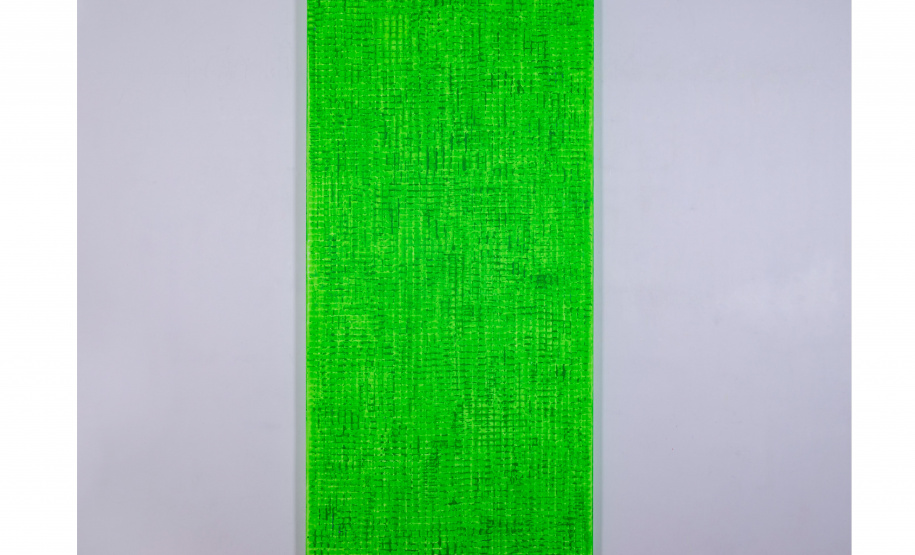 Público com mais de 60 anos terá encontro especial no MON com a artista Leila Pugnaloni