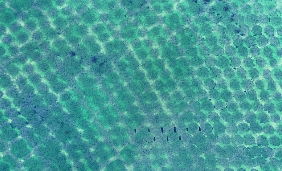 Público com mais de 60 anos terá encontro especial no MON com a artista Leila Pugnaloni