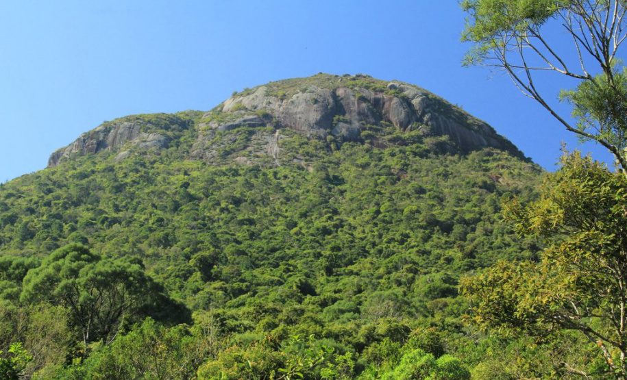 De acordo com levantamento da Diretoria de Patrimônio Natural do Instituto Água e Terra (IAT), 209.812 mil turistas passaram pelos complexos ambientais do Paraná nos primeiros quatro meses de 2023.