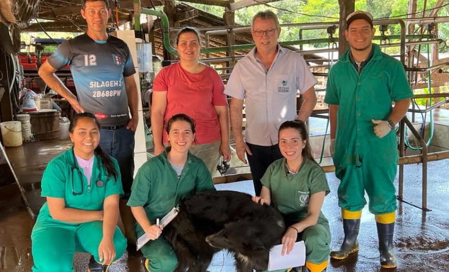 Trabalho de técnicos facilita o controle da mastite em rebanhos de Realeza