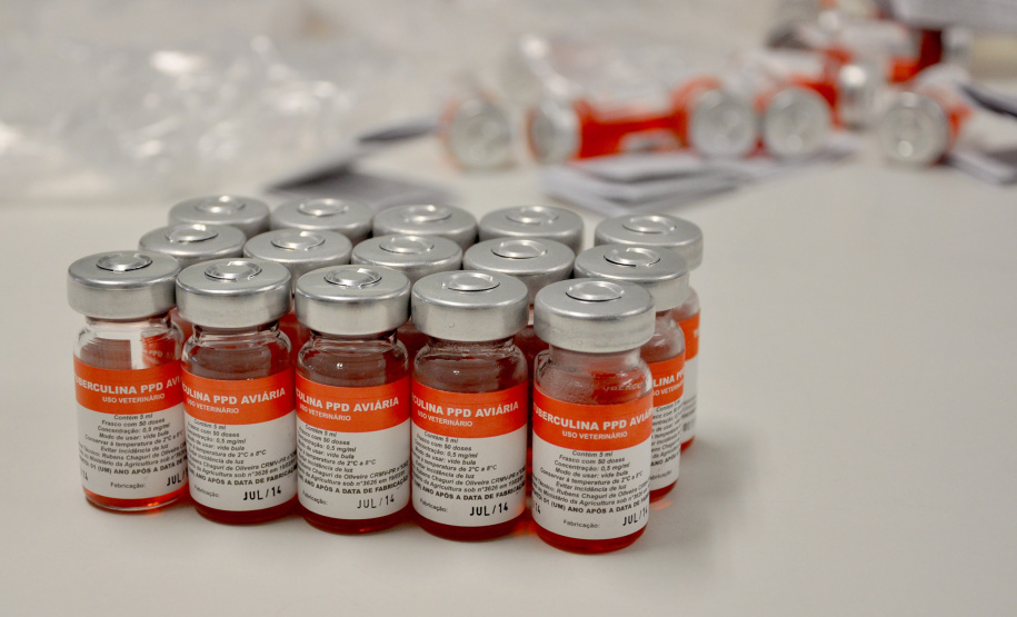 O novo Laboratório de Pesquisa e Produção de Insumos para Diagnósticos Veterinários do Tecpar fabricará insumos para o diagnóstico da brucelose, tuberculose e leucose bovina.