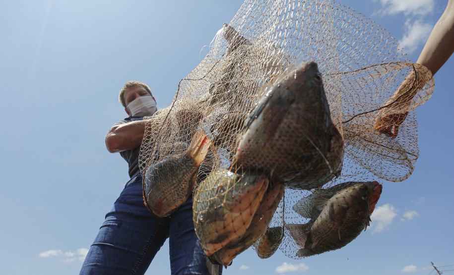 Na primeira faixa, que engloba trabalhadores agropecuários, florestais e da pesca, o salário salta de R$ 1.731,02 para R$ 1.749,02.