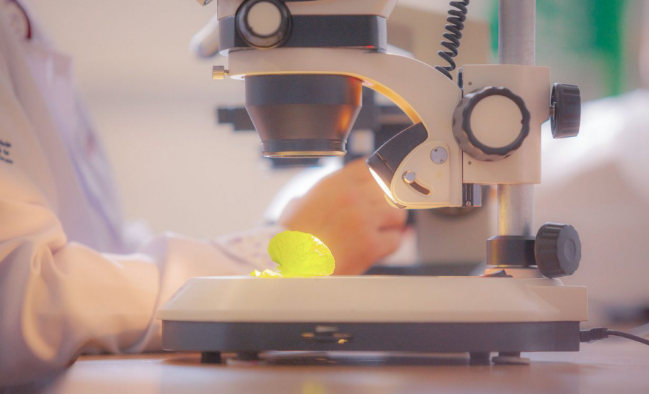 Unioeste divulga concurso com mais de 100 vagas para várias categorias profissionais