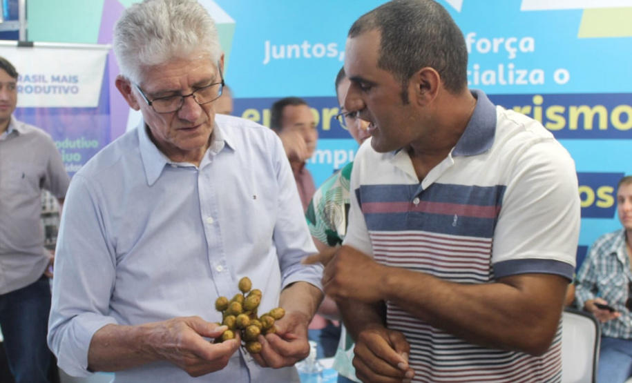 Produtores e lideranças buscam registro de Indicação Geográfica para o urucum de Paranacity