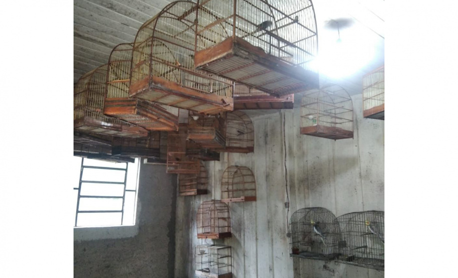 Polícia Militar realiza operação contra crimes ambientais na Região Metropolitana de Curitiba