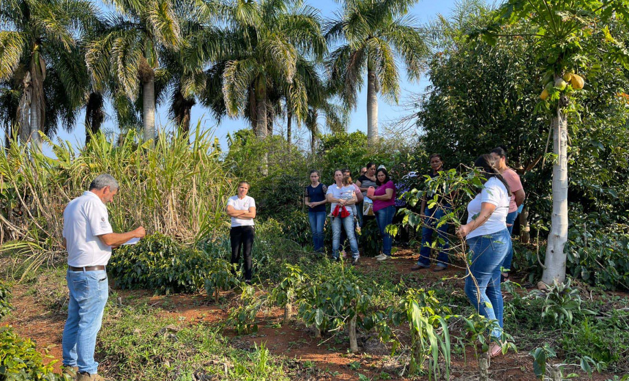 Projeto Mulheres do Café completa dez anos de conquistas