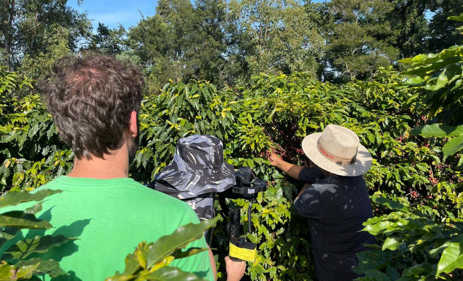 Projeto Mulheres do Café completa dez anos de conquistas