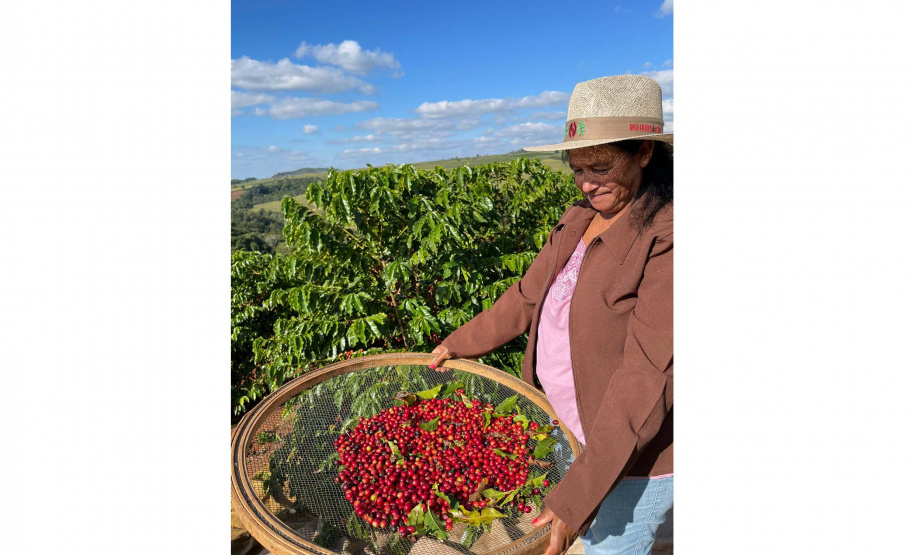 Projeto Mulheres do Café completa dez anos de conquistas