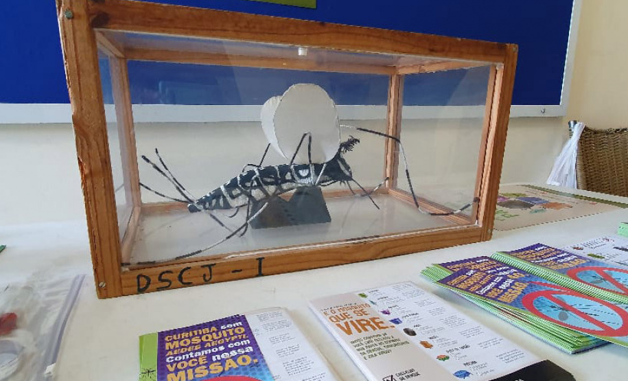 Paraná em Ação e Justiça no Bairro realizaram 2193 atendimentos em Paranaguá