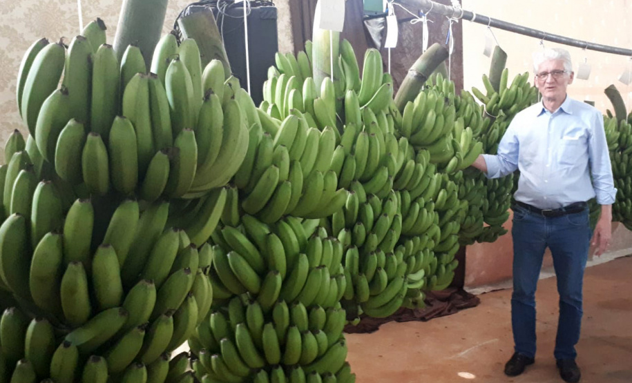 Seab - Novo Itacolomi