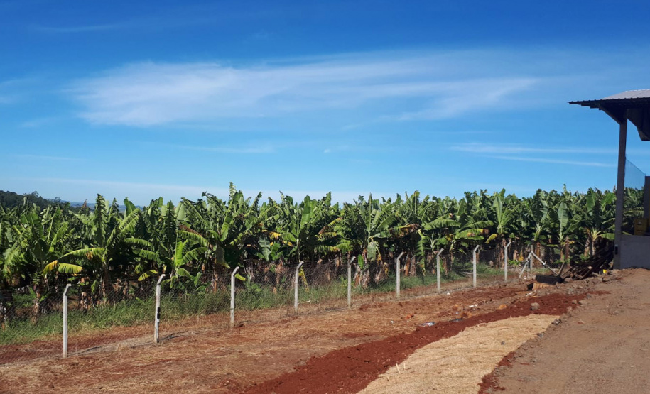 Seab - Novo Itacolomi