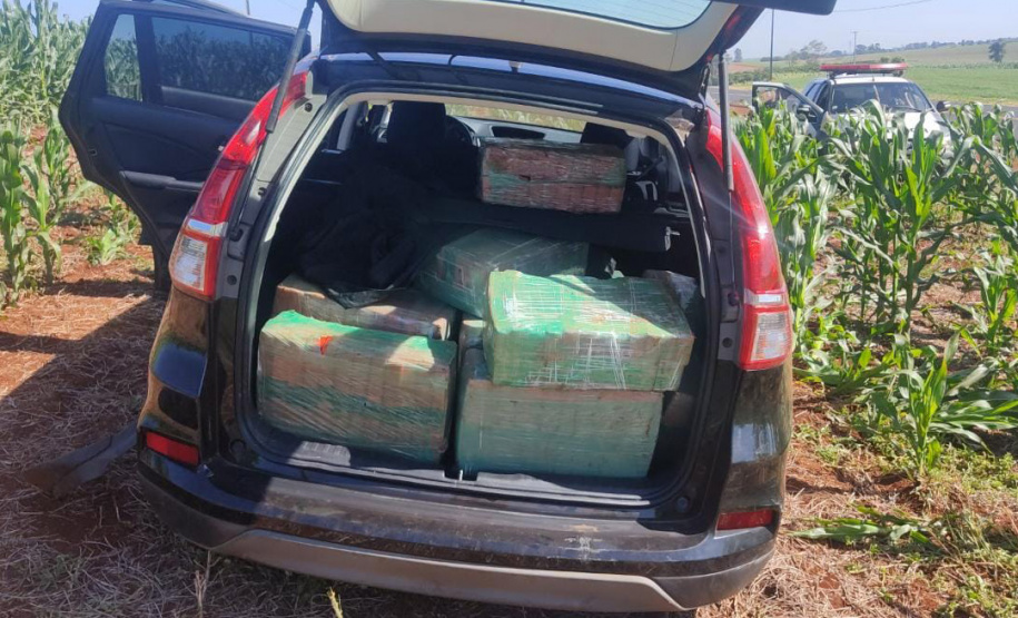 *Polícia Militar apreende 450 quilos de maconha na PR-082*