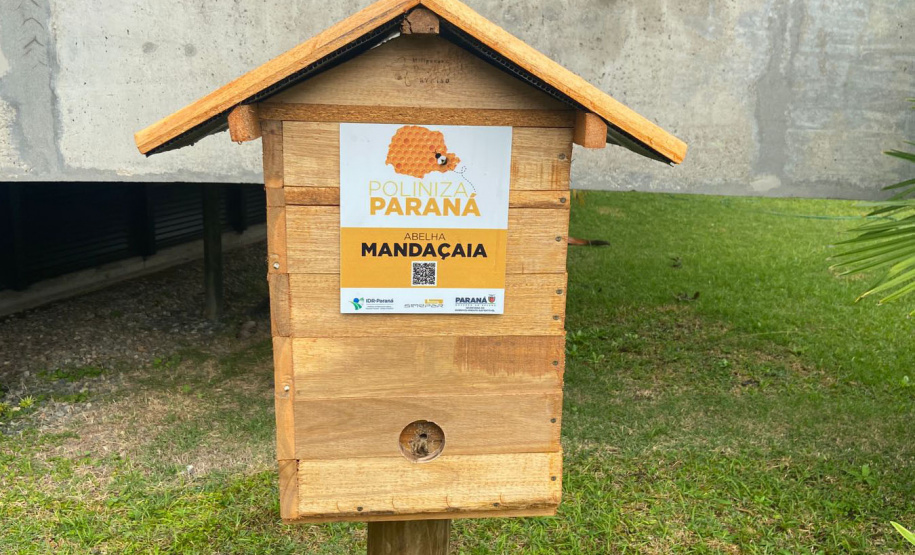 IDR-Paraná e entidades parceiras lançam campanha de prevenção a incêndios