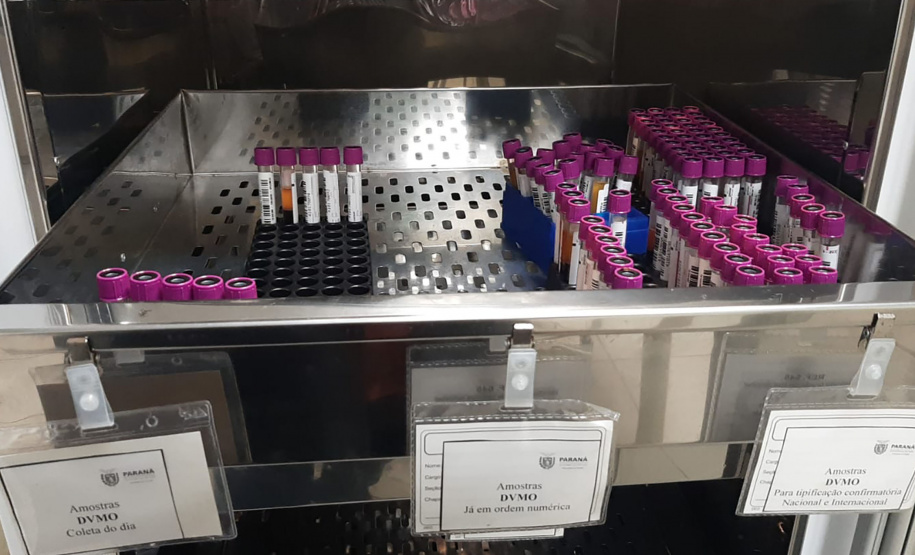 Em seis meses, cadastro de medula óssea no Paraná originou seis transplantes exitosos pela compatibilidade