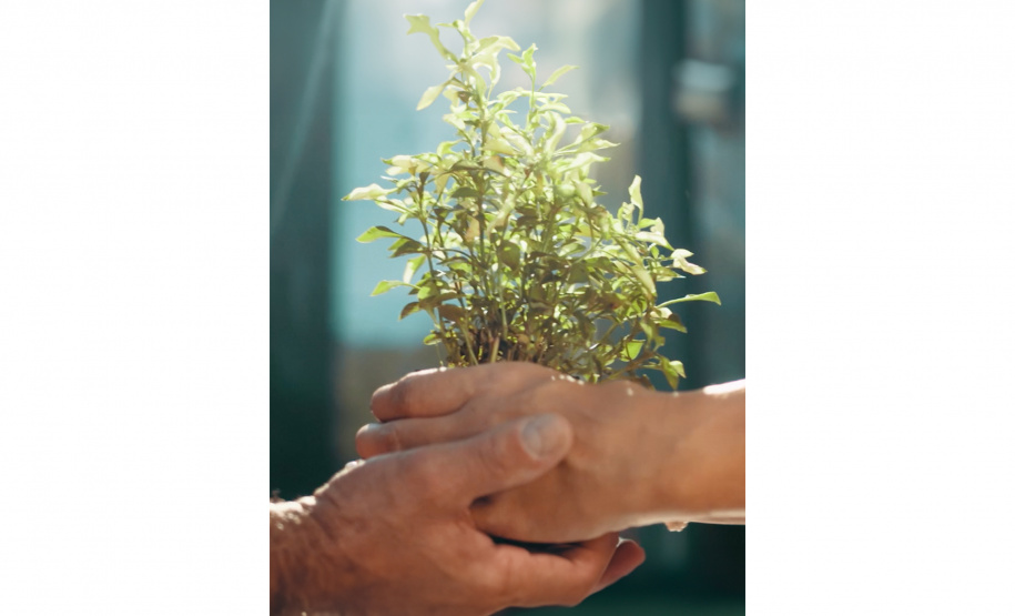 BRDE lança filme Banco Verde com participação dos colaboradores