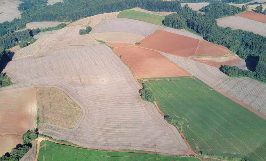 Boletim da dengue registra mais 8,5 mil casos e 7 óbitos no Paraná