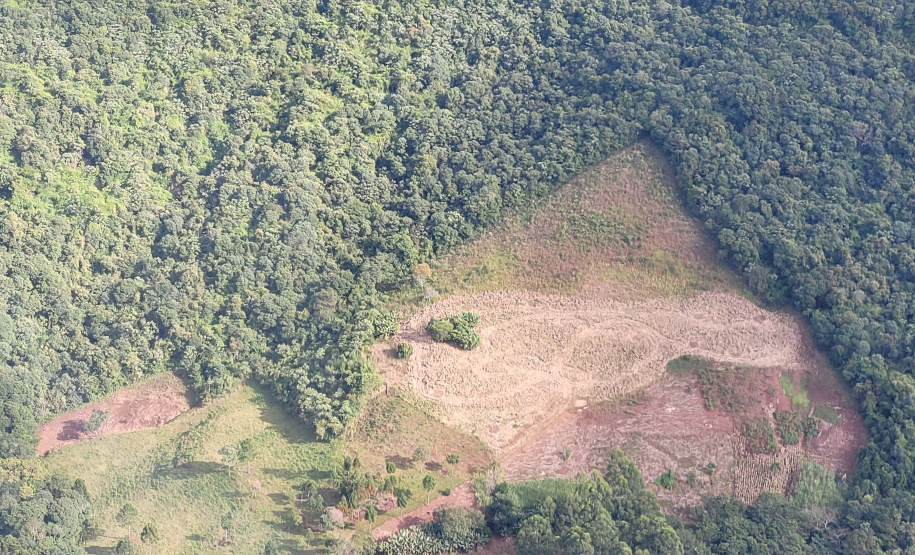 Boletim da dengue registra mais 8,5 mil casos e 7 óbitos no Paraná