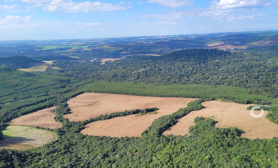 Boletim da dengue registra mais 8,5 mil casos e 7 óbitos no Paraná