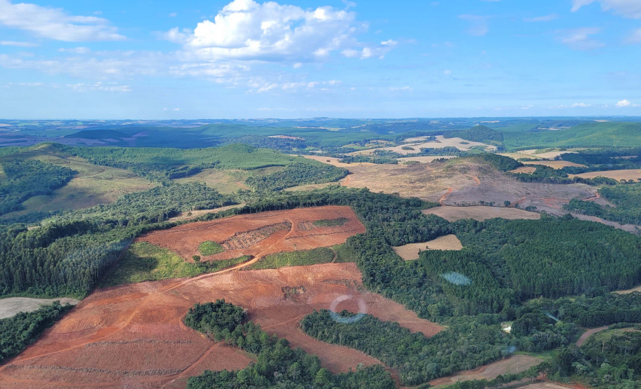 Boletim da dengue registra mais 8,5 mil casos e 7 óbitos no Paraná