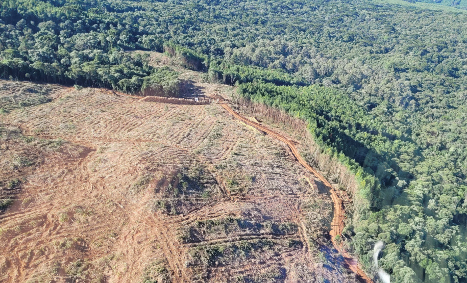 Boletim da dengue registra mais 8,5 mil casos e 7 óbitos no Paraná